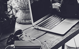 WG金钱豹：新手能赚米的搬砖玩法全解析