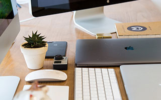 WG金钱豹：新手能赚米的搬砖玩法全解析